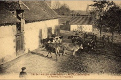 La ferme