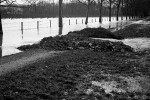 sainte-foy-inondation-1957l-10