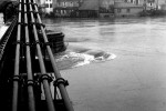 sainte-foy-inondation-1957l-3