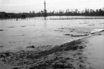 sainte-foy-inondation-1957l-9