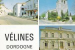 velines-11